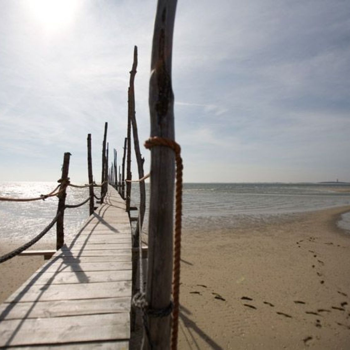 Rückfahrt Texel Vlieland