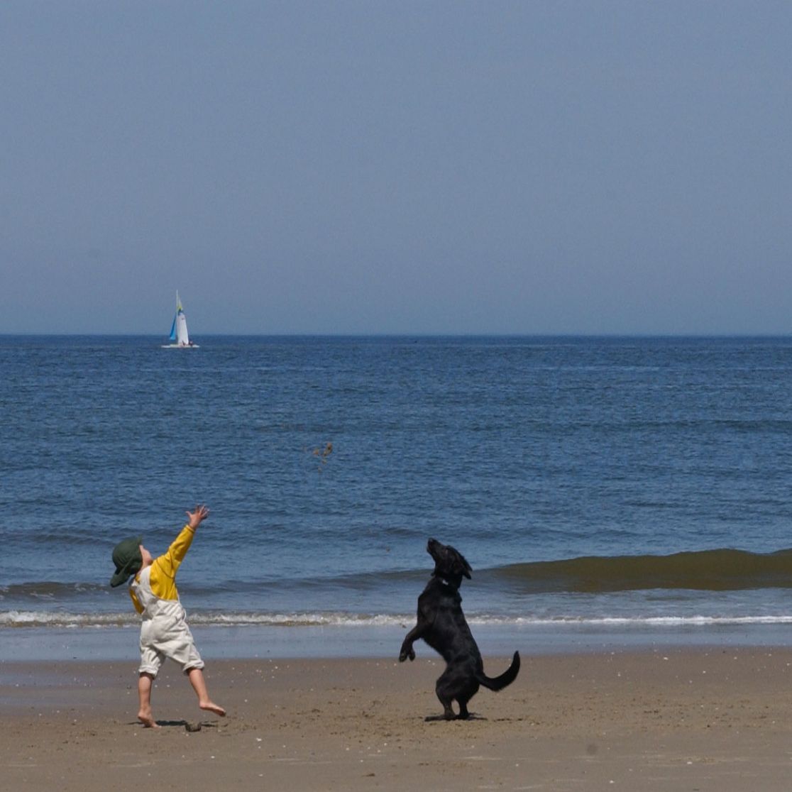 Wattenmeer UNESCO Weltnaturerbe