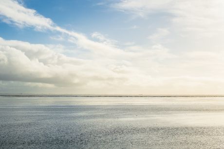 Weltnaturerbe Wattenmeer - Wadden.nl