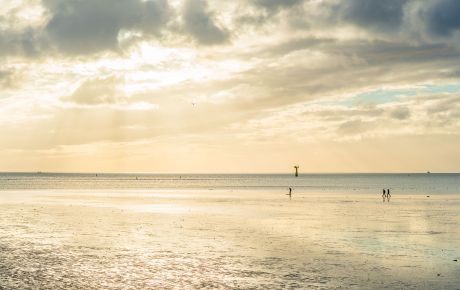 Weltnaturerbe Wattenmeer - Wadden.nl
