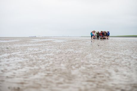 Weltnaturerbe Wattenmeer - Wadden.nl