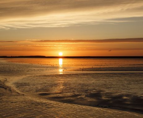 Tag des Wattenmeeres - Wadden.nl - Anja Brouwer