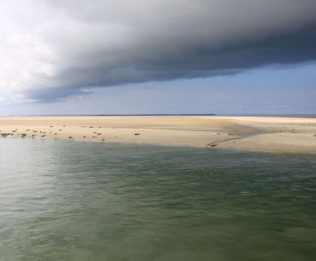 Tag des Wattenmeeres - Wadden.nl - Anja Brouwer