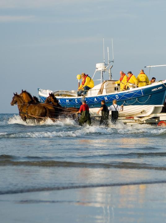 Vorführung des Pferderettungsbootes - VVV Ameland - Wadden.nl