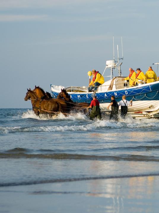 Vorführung des Pferderettungsbootes - VVV Ameland  - Wadden.nl