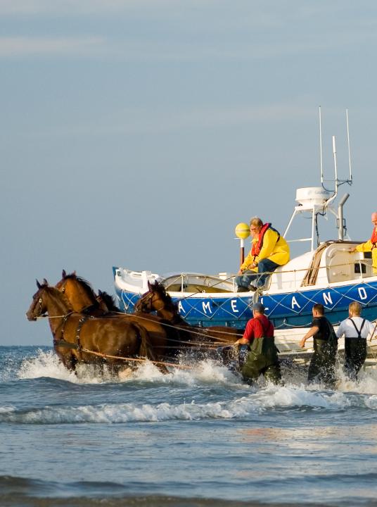 Vorführung des Pferderettungsbootes - Wadden.nl - VVV Ameland