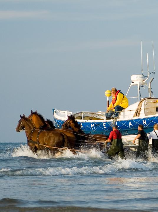 Vorführung des Pferderettungsbootes - Wadden.nl - VVV Ameland