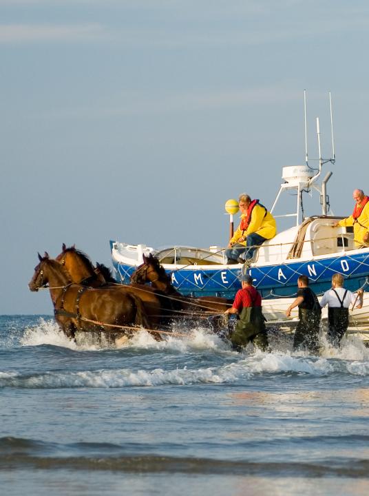 Vorführung des Pferderettungsbootes - Wadden.nl - VVV Ameland