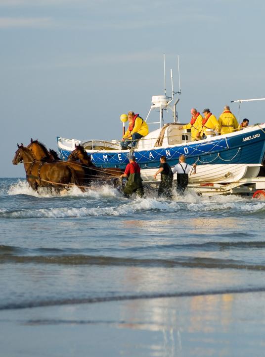 Vorführung des Pferderettungsbootes - VVV Ameland  - Wadden.nl