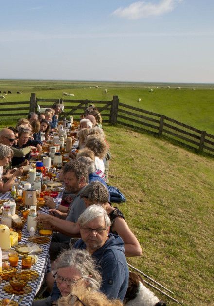 Feiern Sie den Tag des Wattenmeeres auf Ameland - Wadden.nl