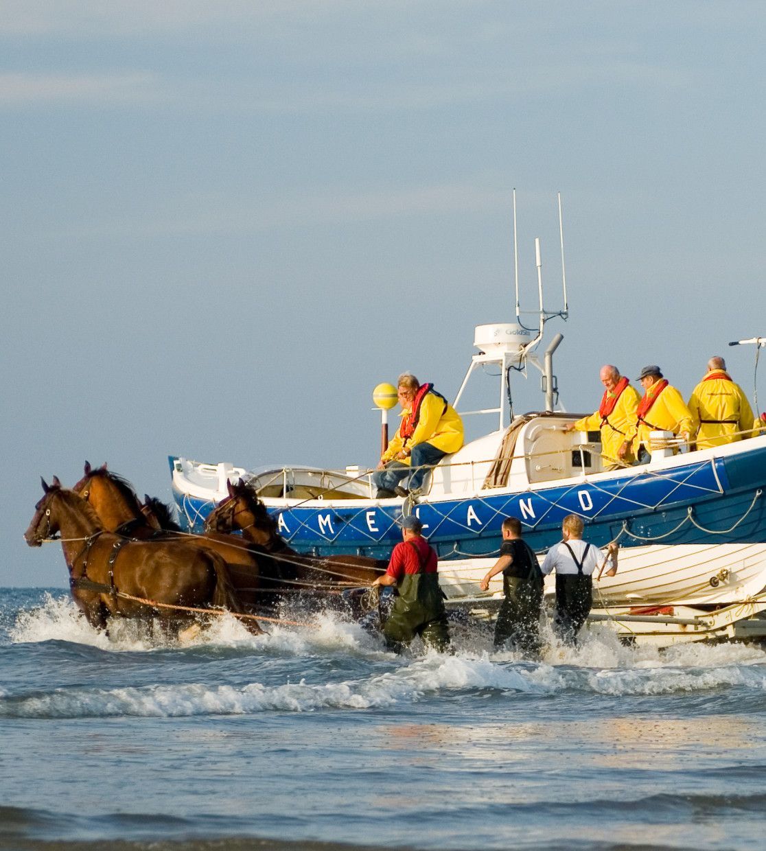 Vorführung des Pferderettungsbootes - VVV Ameland - Wadden.nl