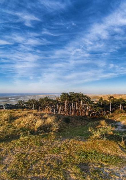 Terschelling - VVV Terschelling - Wadden.nl