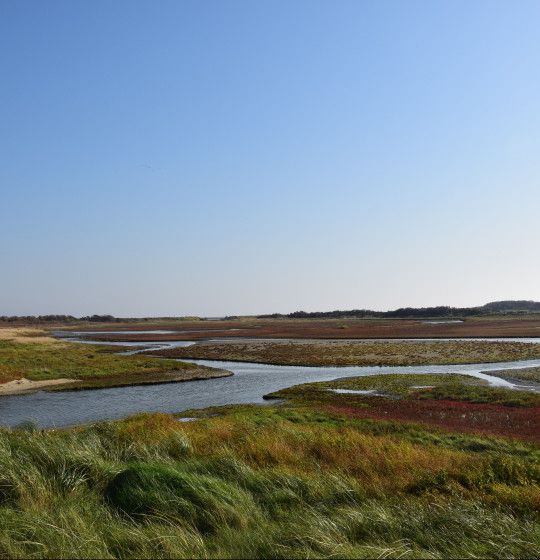 Aussichtspunkte auf Vlieland - Wadden.nl