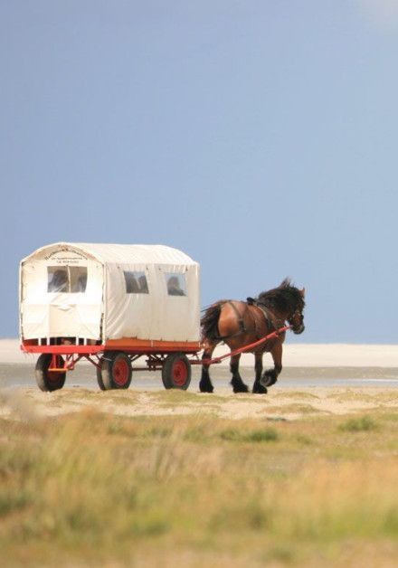 Zien & Doen Schiermonnikoog - Wadden.nl