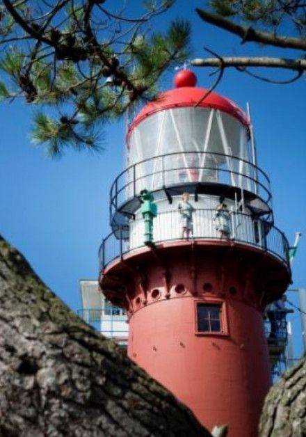 Last-Minute-Angebote auf Vlieland - VVV Vlieland - Wadden.nl