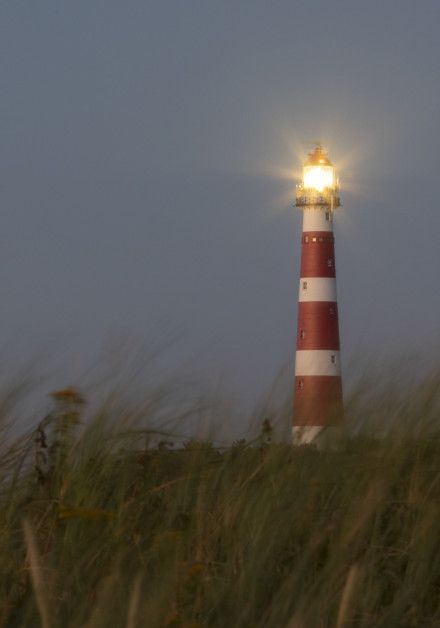 Arrangements auf Ameland - Wadden.nl - VVV Ameland