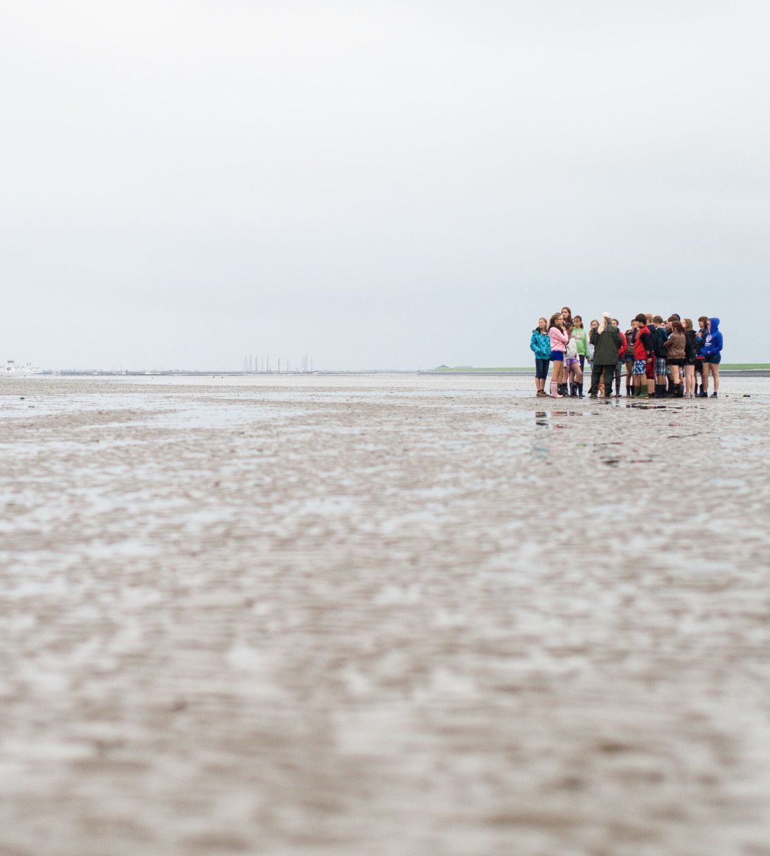 So viel zu sehen, zu tun und zu erleben  - Wadden.nl