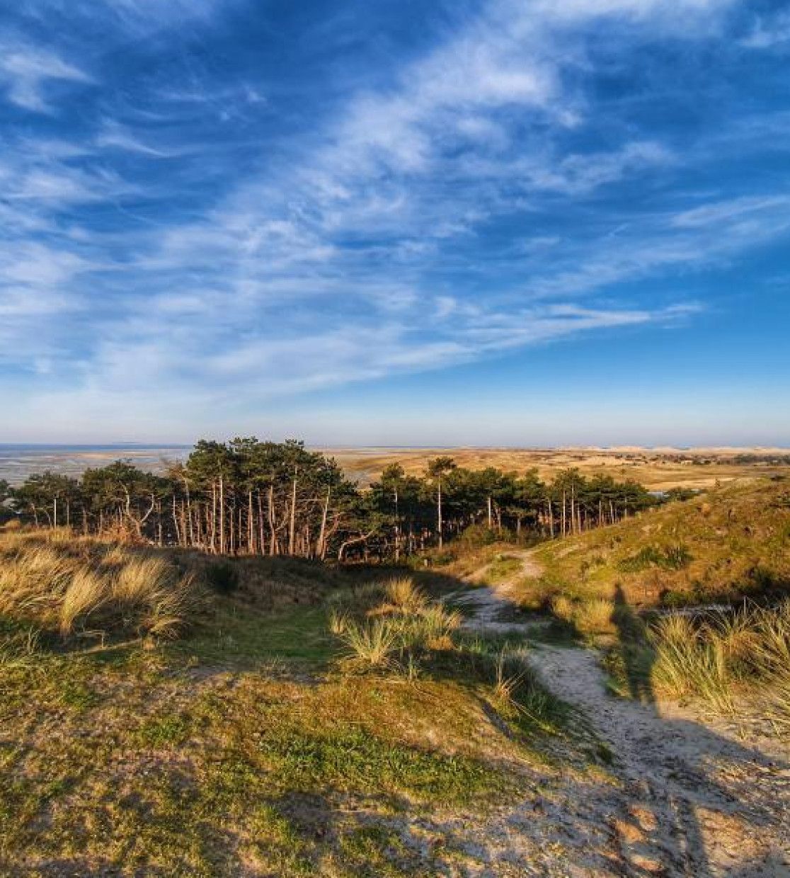 Übernachten auf Terschelling - Terschelling - Wadden.nl