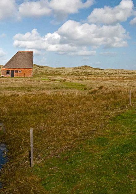 Mehr Webcams - Wadden.nl