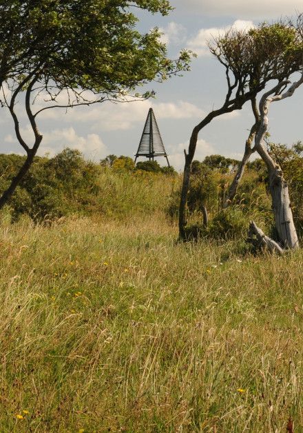 Arrangements auf Schiermonnikoog - VVV Schiermonnikoog - Wadden.nl