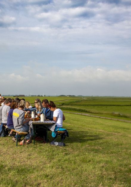 Feiern Sie den Tag des Wattenmeeres auf Terschelling - Wadden.nl