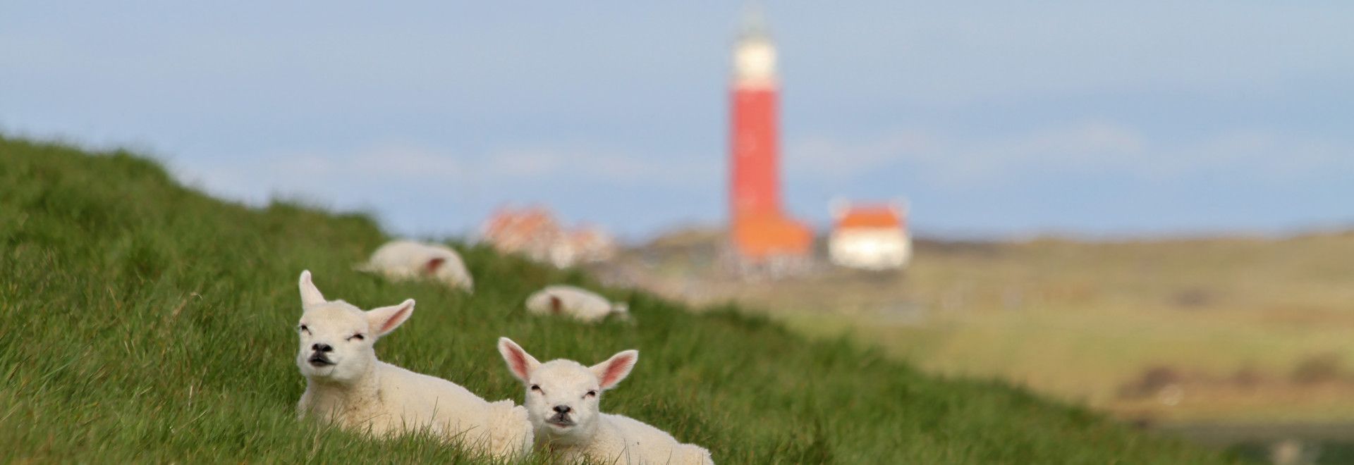 Einzigartig auf Texel - VVV Texel - Wadden.nl