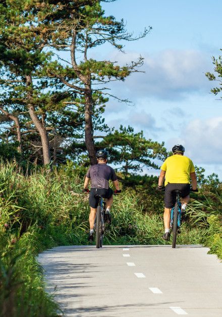 Fietsen Texel - Wadden.nl