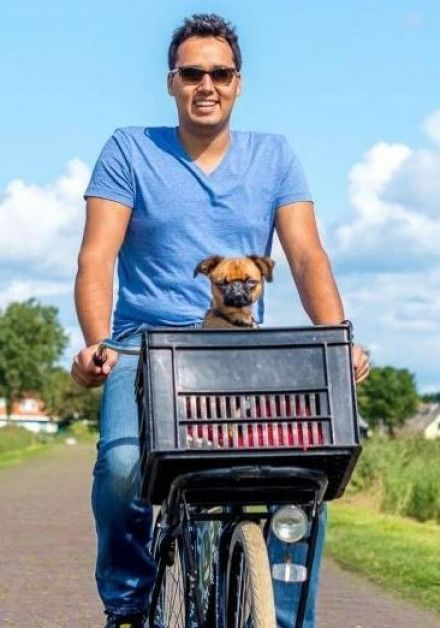 Schiermonnikoog mit Hund - VVV Schiermonnikoog - Wadden.nl