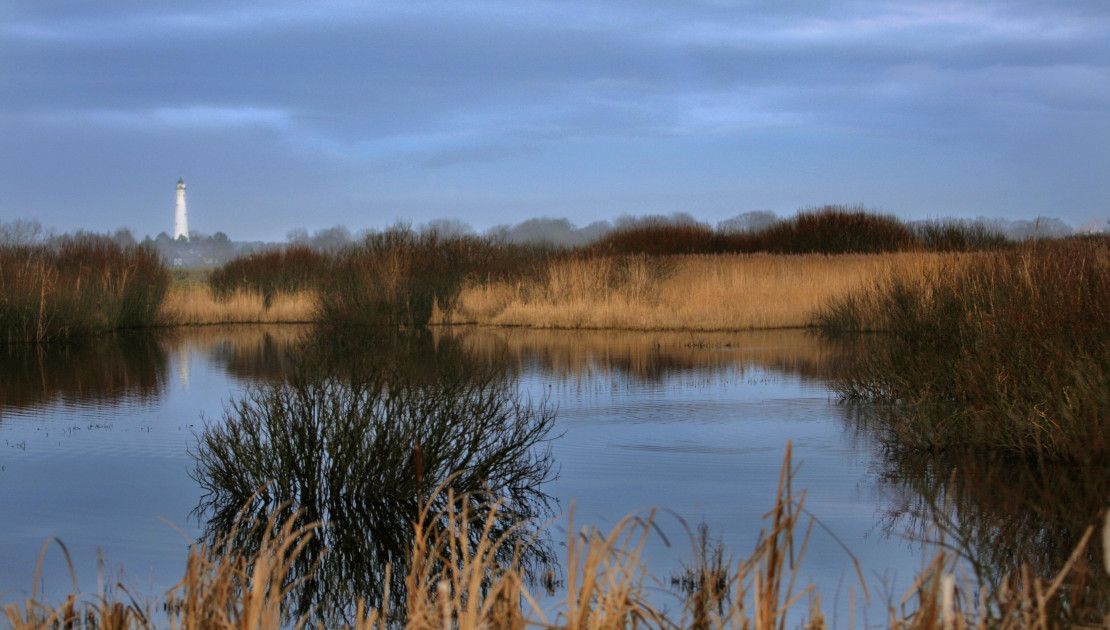 De Berkenplas webcam Schiermonnikoog - Wadden.nl