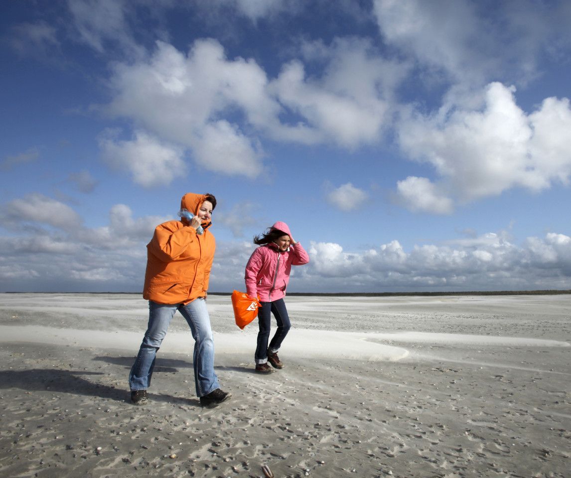 Transport nach und von Schieronnikoog - VVV Schiermonnikoog - Wadden.nl