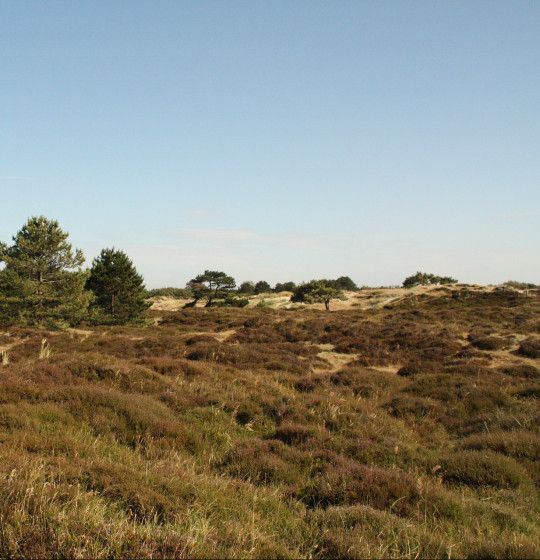 Aussichtspunkte auf Vlieland - Wadden.nl