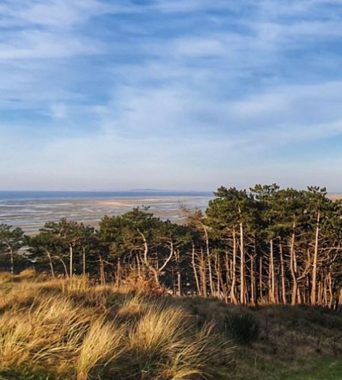 Aussichtspunkte auf Terschelling - VVV Terschelling - Wadden.nl