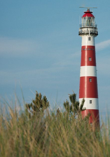 Last-Minute-Angebote auf Ameland - VVV Ameland - Wadden.nl