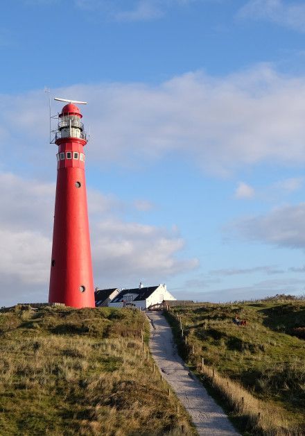 Schiermonnikoog - Schiermonnikoog - Wadden.nl