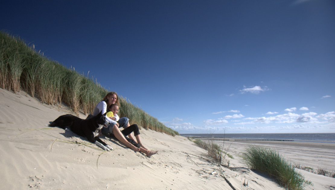 Webcam Strand Ameland - Wadden.nl