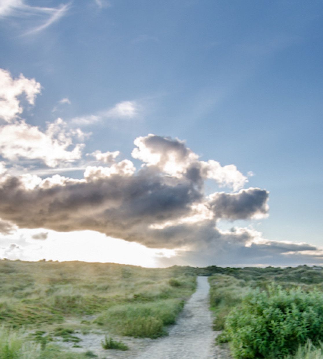 Erkunden Sie den Nationalpark - VVV Schiermonnikoog - Wadden.nl