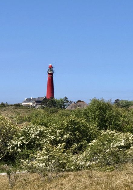 Ausflüge auf der Watteninsel Schiermonnikoog