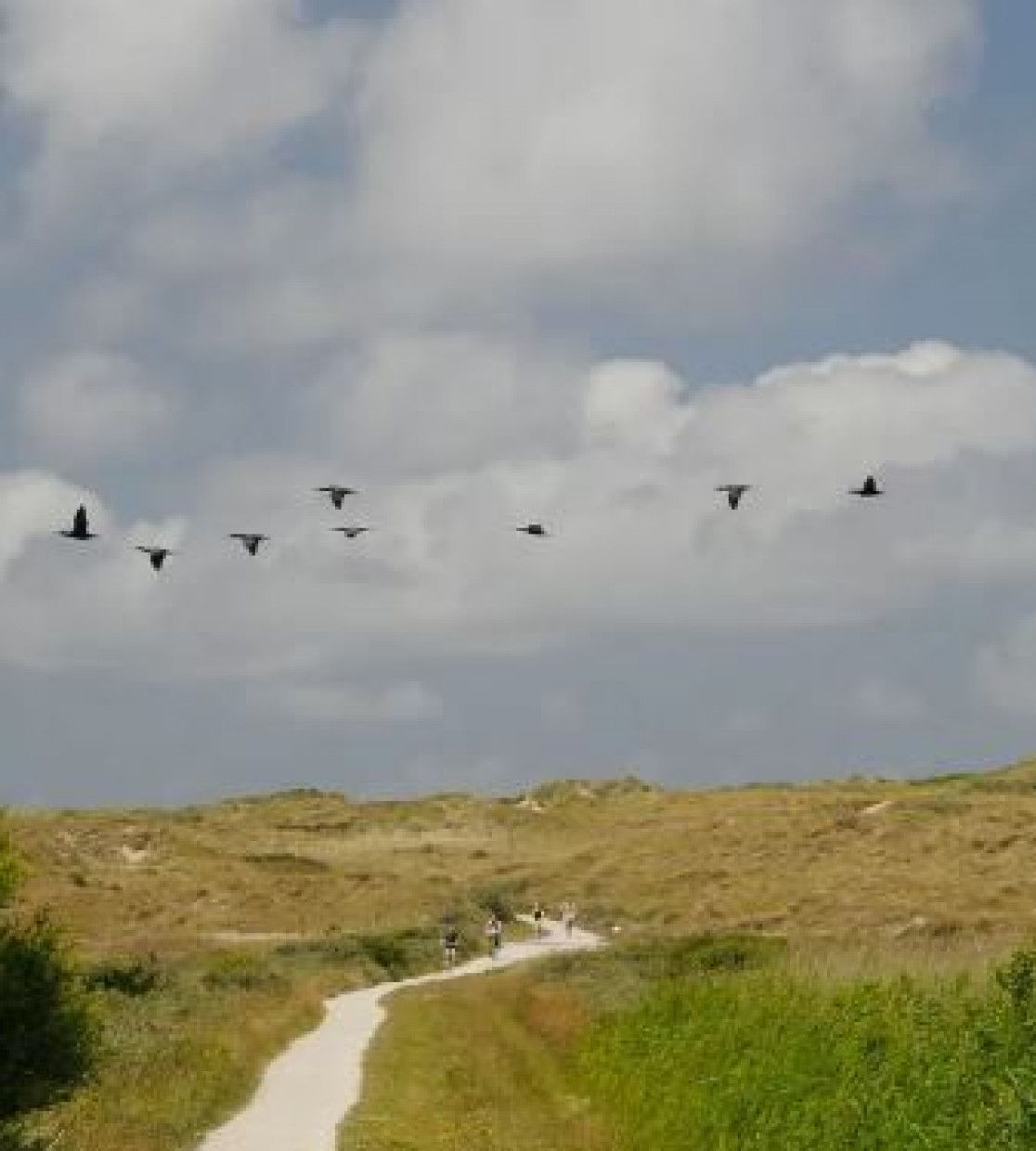 Pauschalangebote auf Vlieland - VVV Vlieland - Wadden.nl