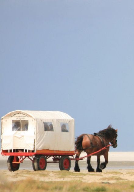 Last-minutes auf Schiermonnikoog - VVV Schiermonnikoog - Wadden.nl