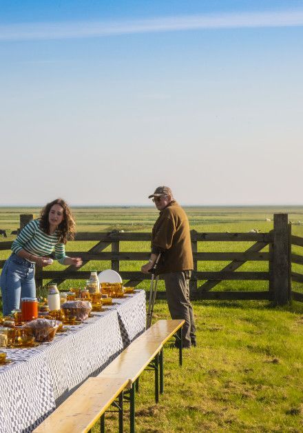 Feiern Sie den Tag des Wattenmeeres auf Schiermonnikoog - Wadden.nl