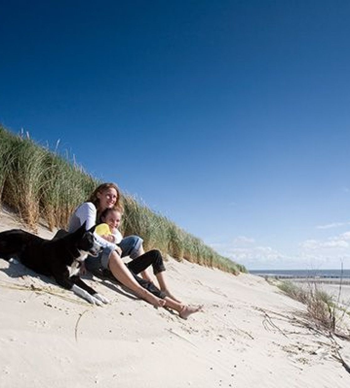 Arrangements auf Schiermonnikoog - VVV Schiermonnikoog - Wadden.nl