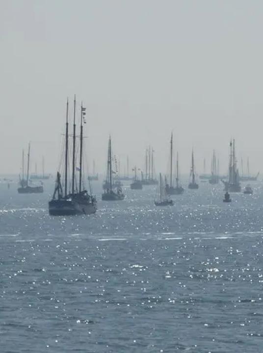 Sagitta Segelrennen - VVV Terschelling - Wadden.nl