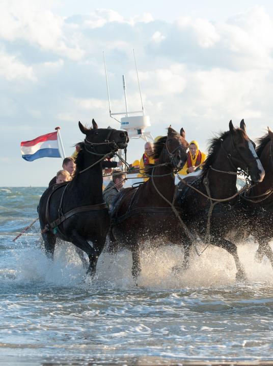 Vorführung des Pferderettungsbootes - VVV Ameland  - Wadden.nl