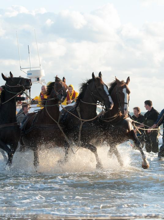 Vorführung des Pferderettungsbootes - Wadden.nl - VVV Ameland