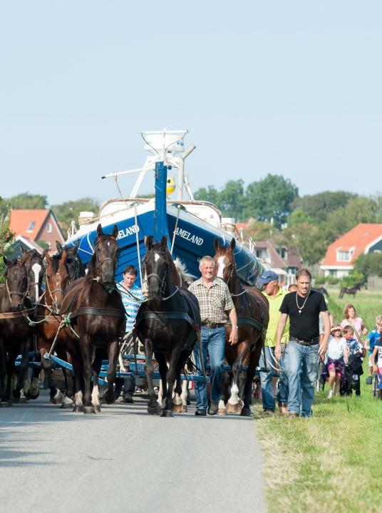 Vorführung des Pferderettungsbootes - VVV Ameland - Wadden.nl