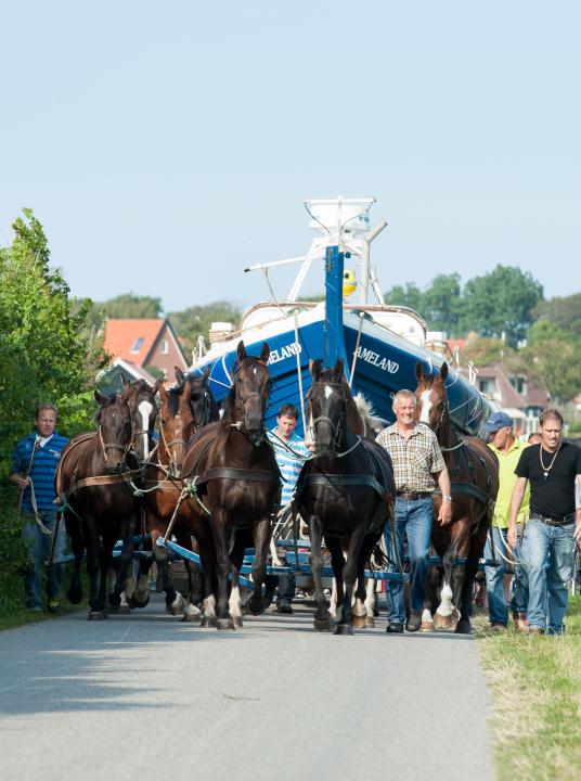 Vorführung des Pferderettungsbootes - Wadden.nl - VVV Ameland