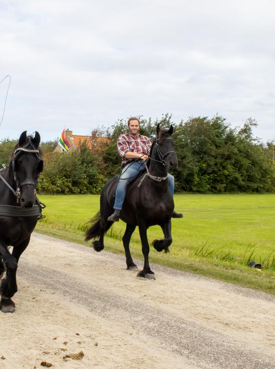 Markttrabrennen Midsland - VVV Terschelling - Wadden.nl