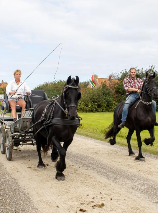 Trabrennen - VVV Terschelling - Wadden.nl