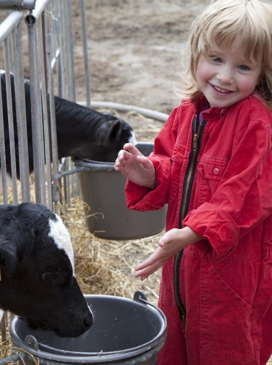 Landwirtschaftstag  - Wadden.nl - VVV Texel