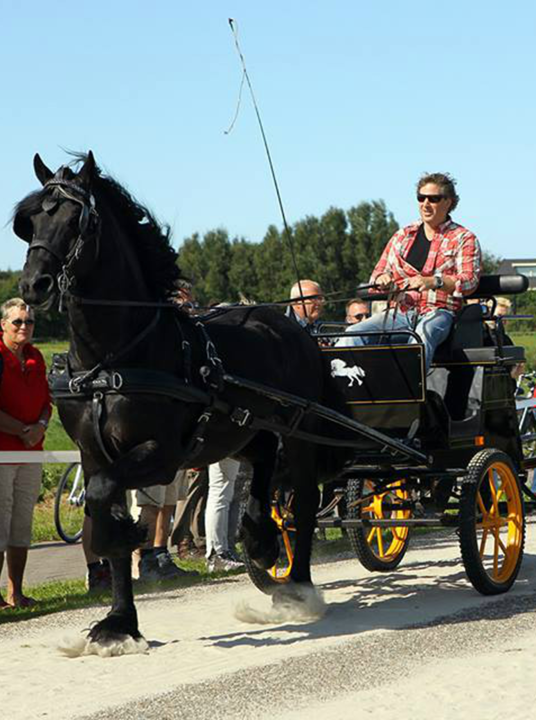 Markttrabrennen Midsland - VVV Terschelling - Wadden.nl
